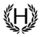 handsomergroup.com